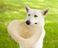 Natáčení pro televizi ČT1 - videa ke shlédnutí